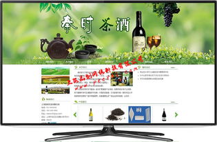 松江網(wǎng)站建設(shè)專業(yè)服務 打造卓越網(wǎng)站，助力企業(yè)線上飛躍