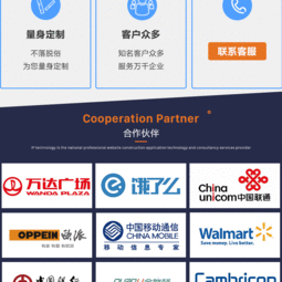 精品企業(yè)網(wǎng)站與手機軟件 一體化定制開發(fā)解決方案
